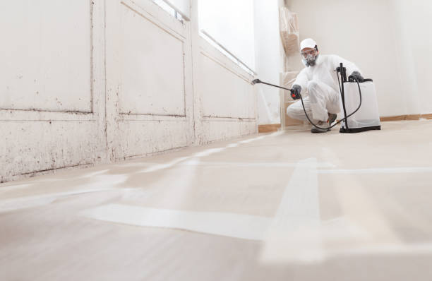 24/7 Emergency Crawl Space Mold Removal experts in Warminster, PA
